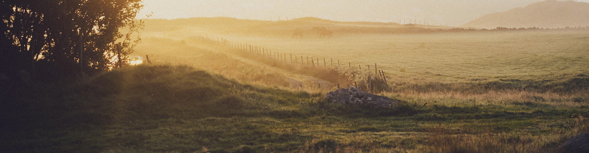 residential land for sale scone