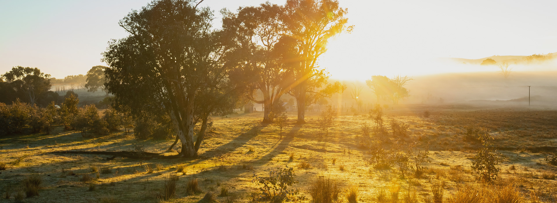 Residential acreages land for sale scone nsw